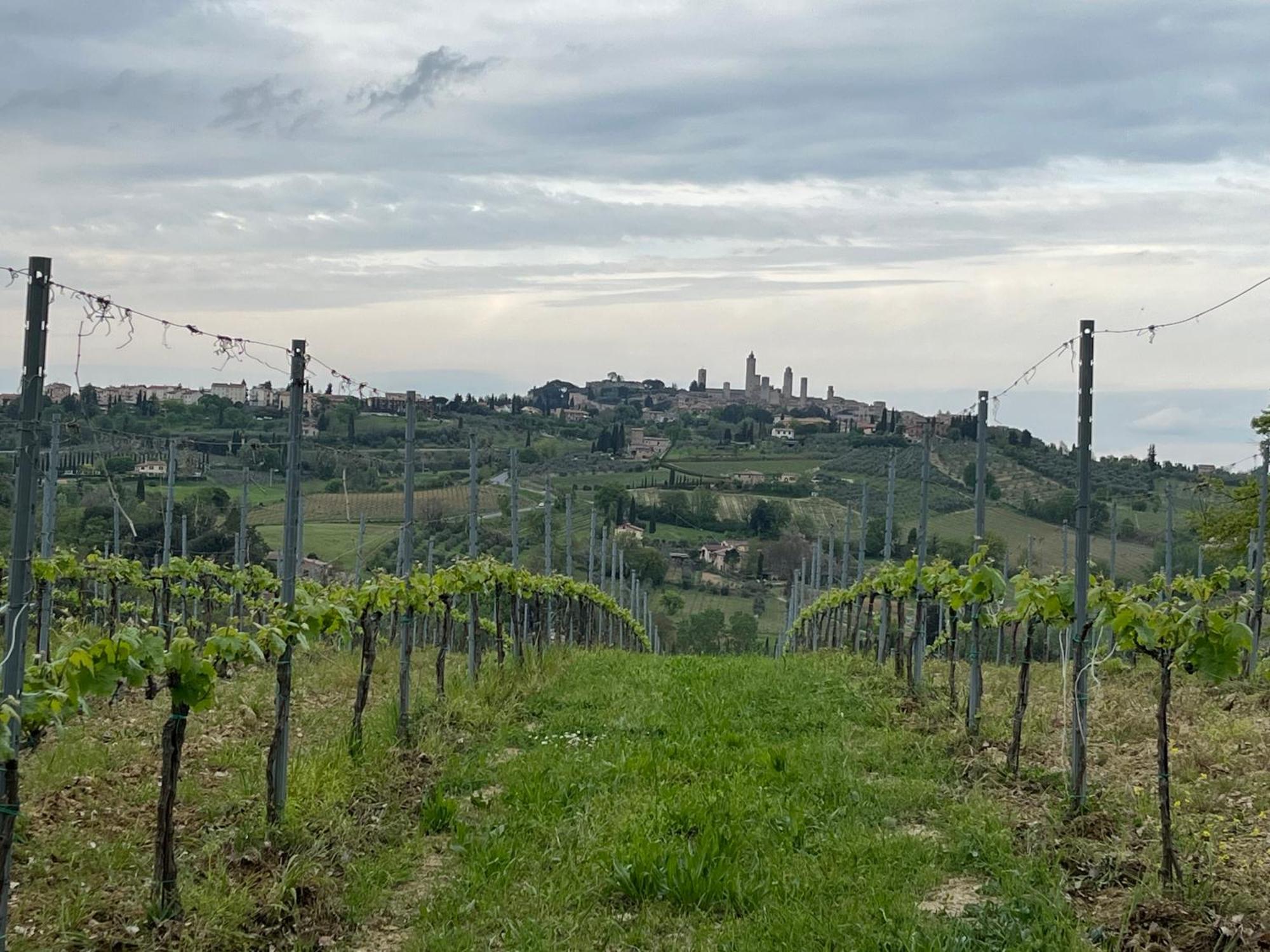 Podere Casanuova Сан-Джиміньяно Екстер'єр фото