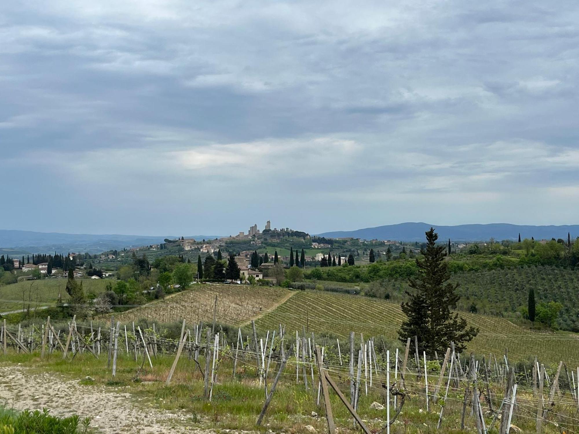 Podere Casanuova Сан-Джиміньяно Екстер'єр фото