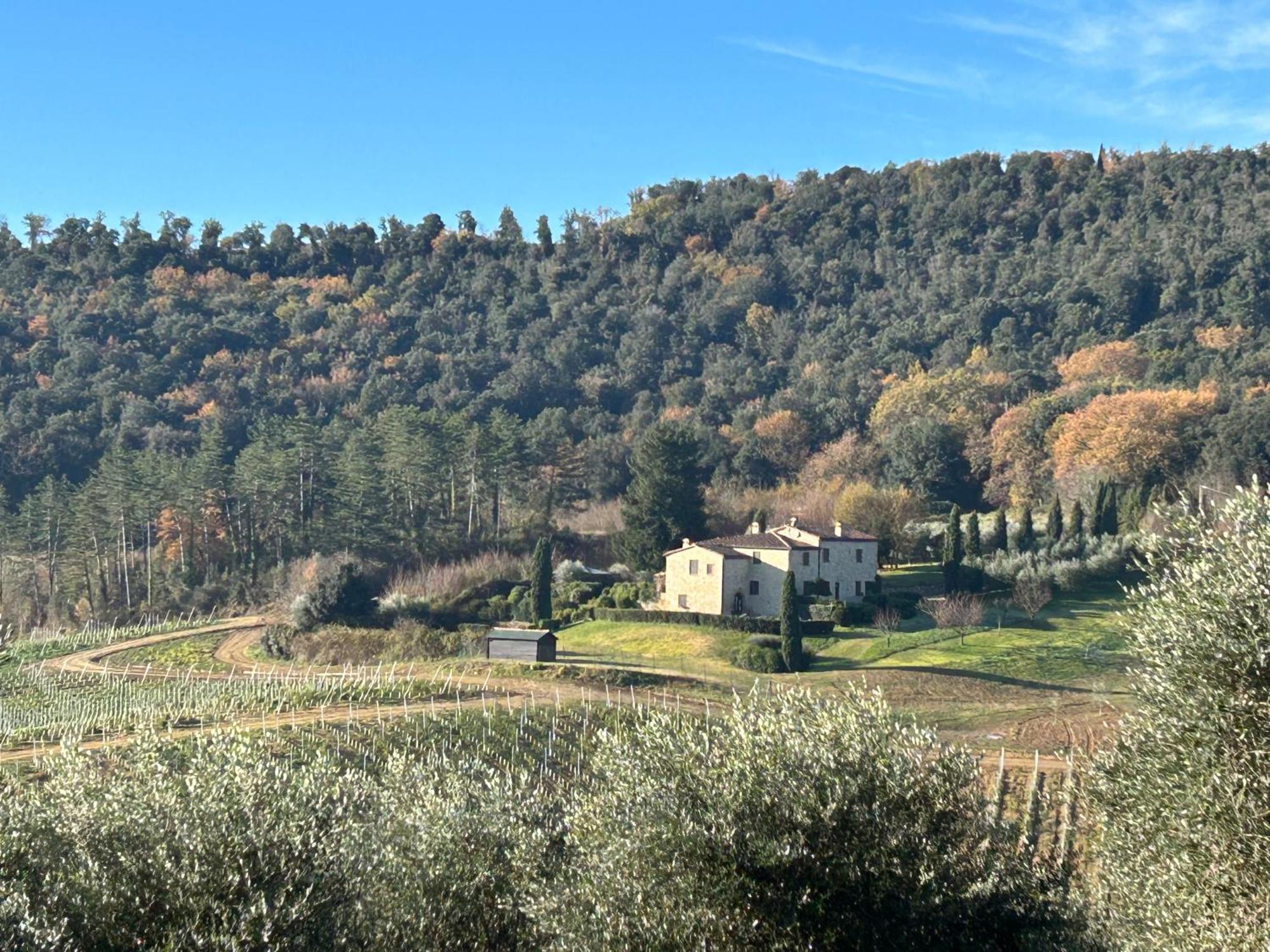 Podere Casanuova Сан-Джиміньяно Екстер'єр фото