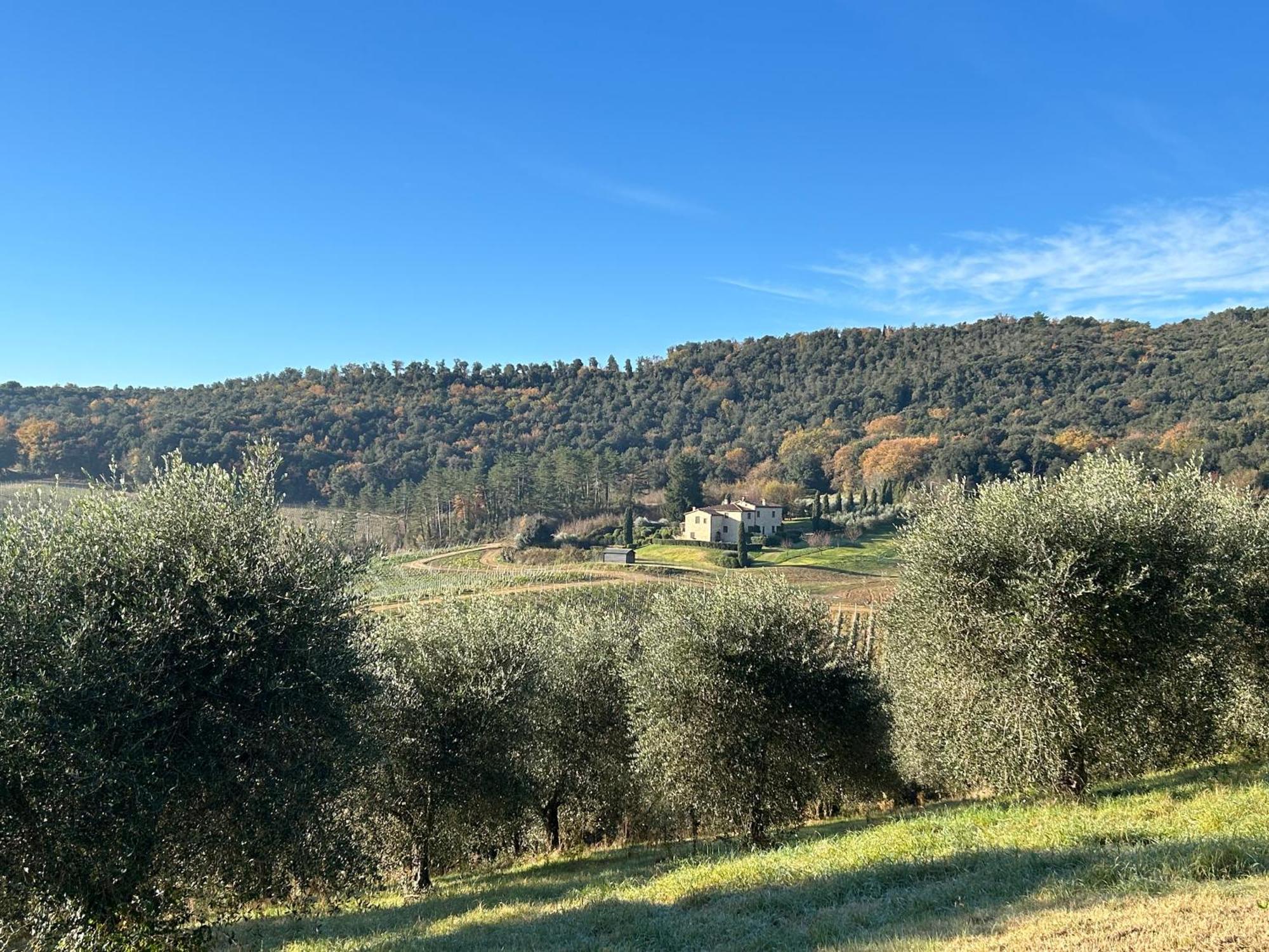 Podere Casanuova Сан-Джиміньяно Екстер'єр фото